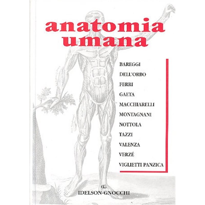 Anatomia Umana